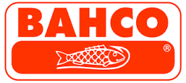 BACHO BACHO