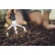    Xact- 